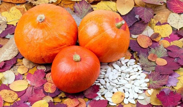 10种有益男性健康的家常食物