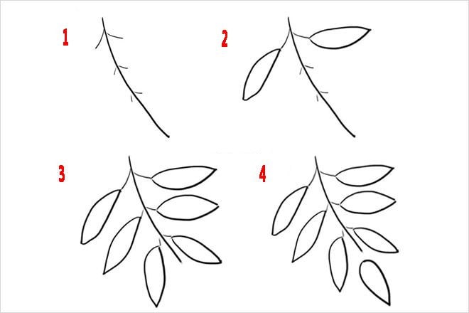 树叶简笔画的画法10种