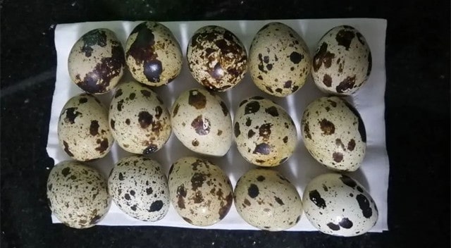 空气炸锅食谱盐焗鹌鹑蛋的做法