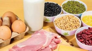 小孩偏矮吃什么可以长高