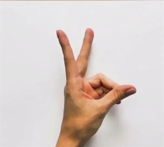 手指画梅花鹿教程