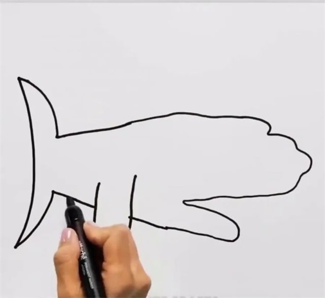 手指画大白鲨教程