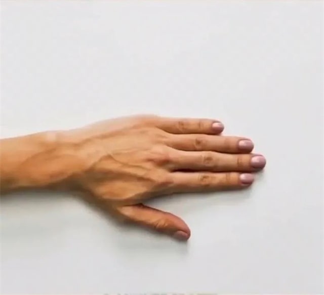 手指画大白鲨教程