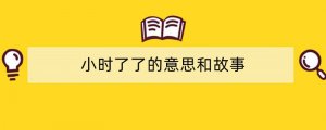 小时了了的意思和故事