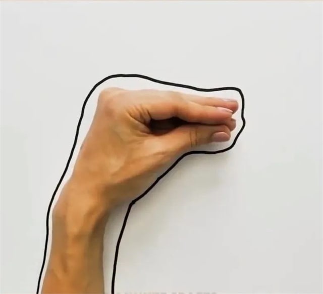 手指画呆呆蛇教程