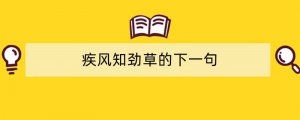 疾风知劲草的下一句