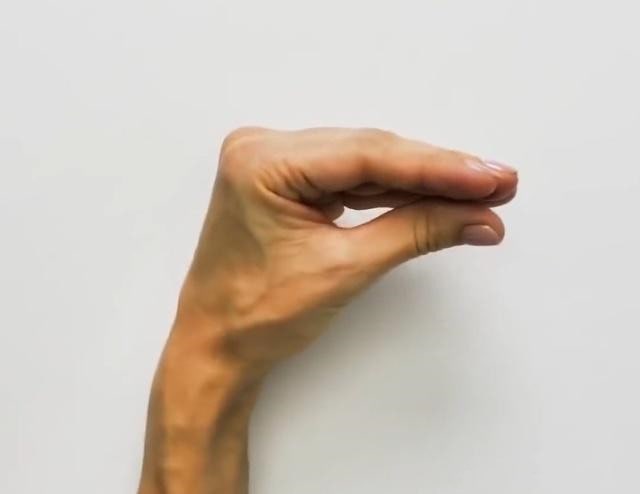 手指画鹅的简笔画教程