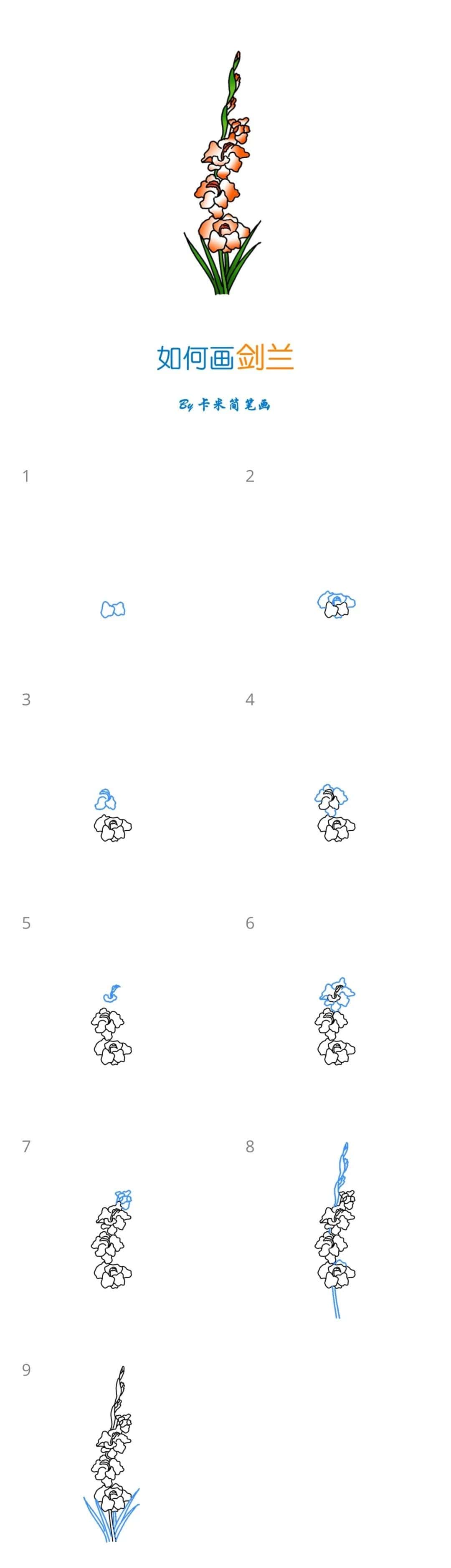 十组教师节小素材简笔画教程