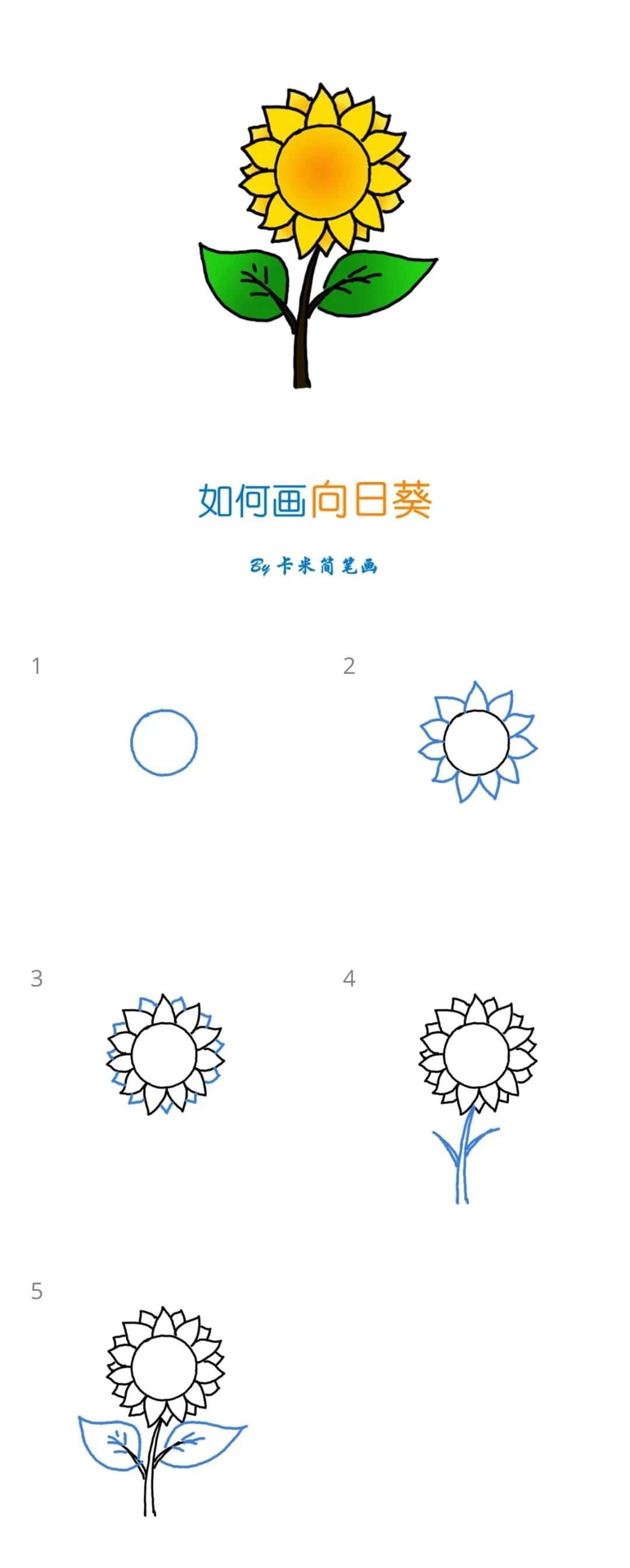 十组教师节小素材简笔画教程