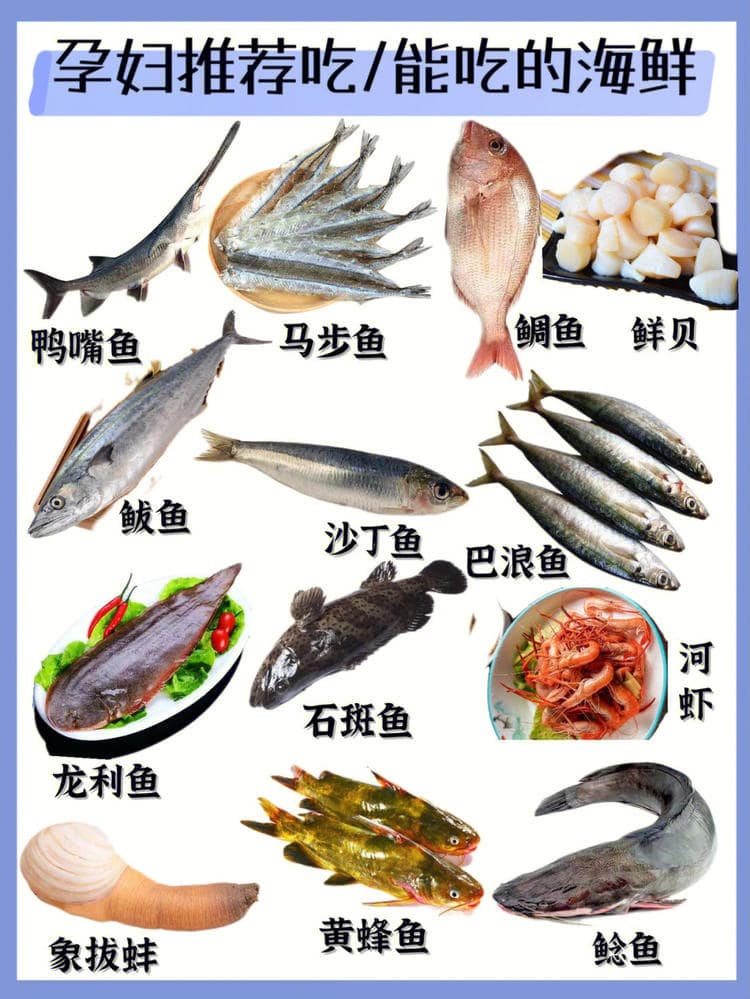 孕妇可以吃海鲜吗 孕妇吃海鲜注意事项