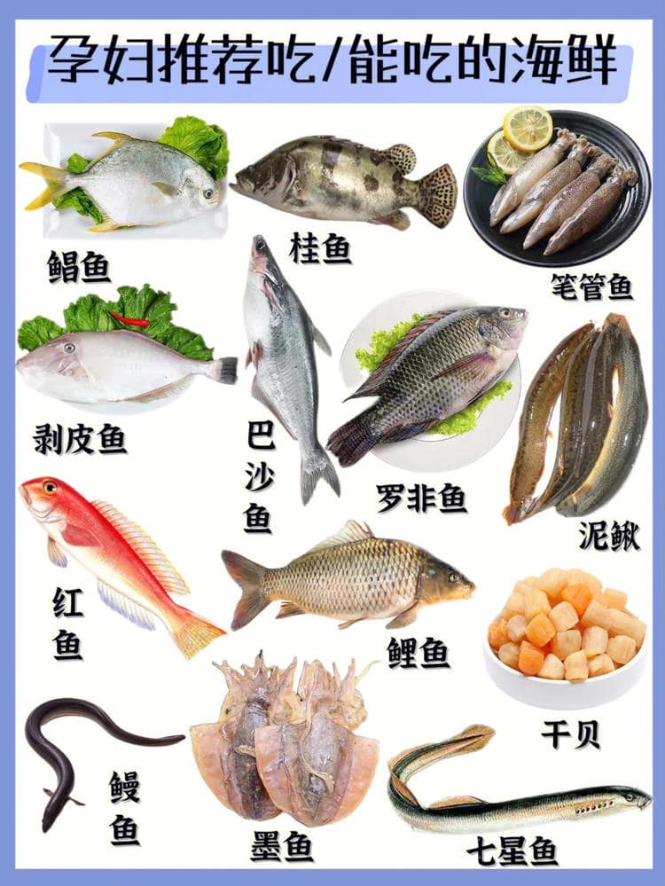 孕妇可以吃海鲜吗 孕妇吃海鲜注意事项