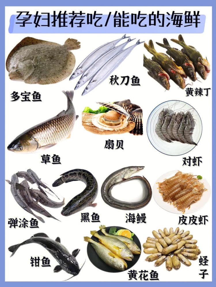 孕妇可以吃海鲜吗 孕妇吃海鲜注意事项