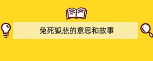 兔死狐悲的意思和故事
