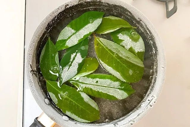 透明树叶书签制作方法简单又漂亮