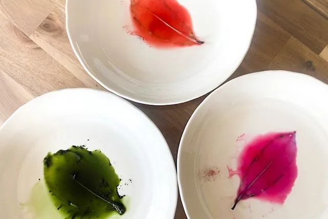 透明树叶书签制作方法简单又漂亮