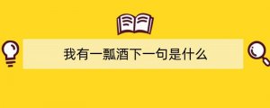 我有一瓢酒下一句是什么