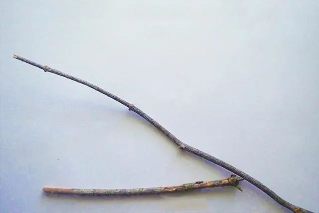 树叶手工粘贴画小鸟教程