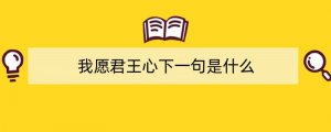 我愿君王心下一句是什么
