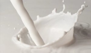 幼儿每天需要喝多少牛奶