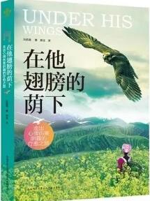 适合青少年和青年阅读的书籍推荐