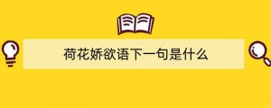 荷花娇欲语下一句是什么