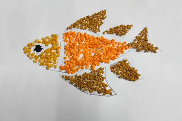 谷物粘贴画彩色鱼
