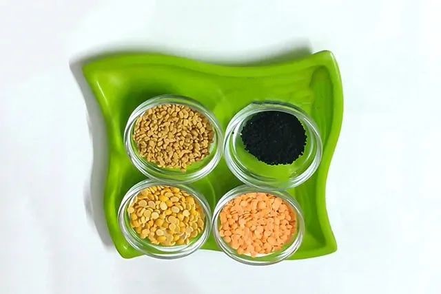 谷物粘贴画彩色鱼