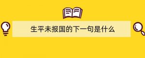 生平未报国的下一句是什么