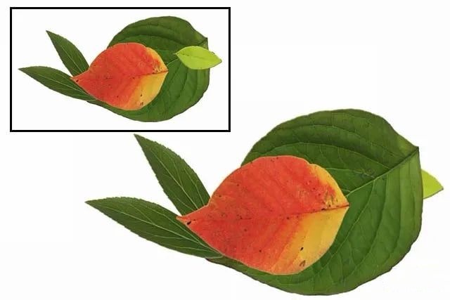 简单树叶手工粘贴画小动物