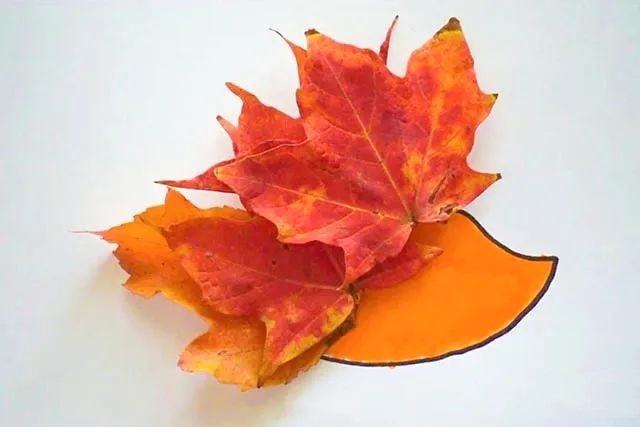 简单树叶手工粘贴画小刺猬