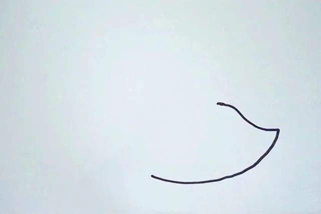 简单树叶手工粘贴画小刺猬