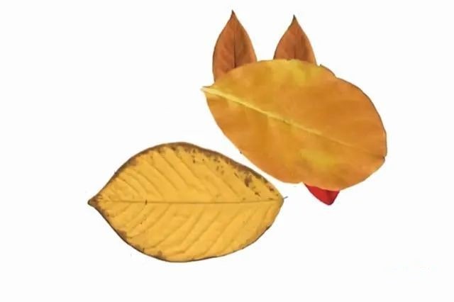 树叶手工粘贴画可爱的小狗教程