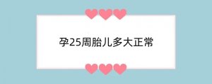 孕25周胎儿多大正常