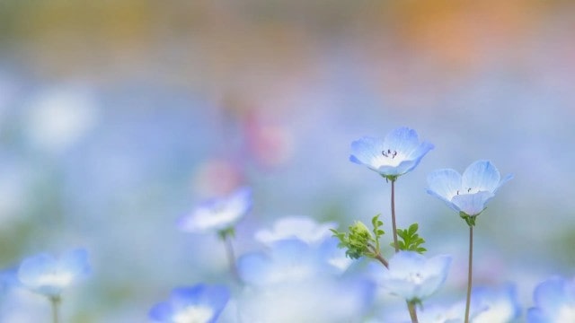 记事文作文怎么写