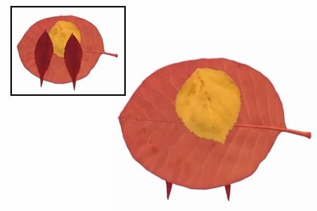 简单树叶手工粘贴画小动物教程