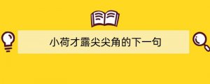 小荷才露尖尖角的下一句