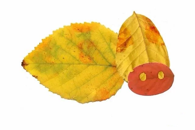 简单树叶手工粘贴画老黄牛教程