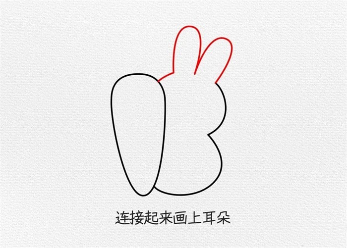 拔萝卜的小白兔简笔画步骤图片