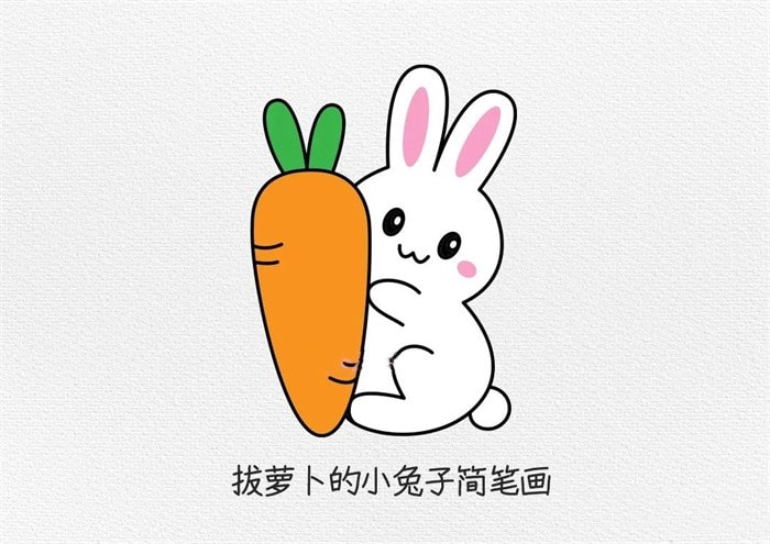 拔萝卜的小白兔简笔画步骤图片