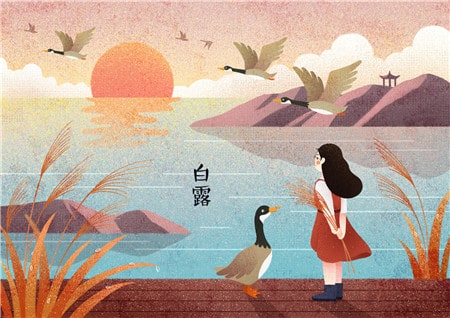 清冷脱俗的女孩名字