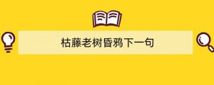 枯藤老树昏鸦下一句