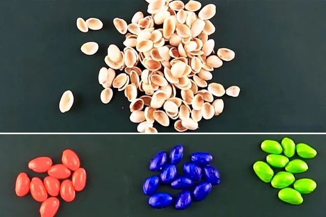 开心果壳创意粘贴画：一群站在树枝上的小鸟