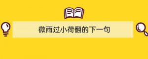 微雨过小荷翻的下一句