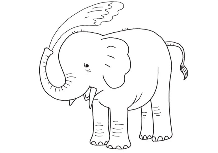 大象简笔画怎么画图片