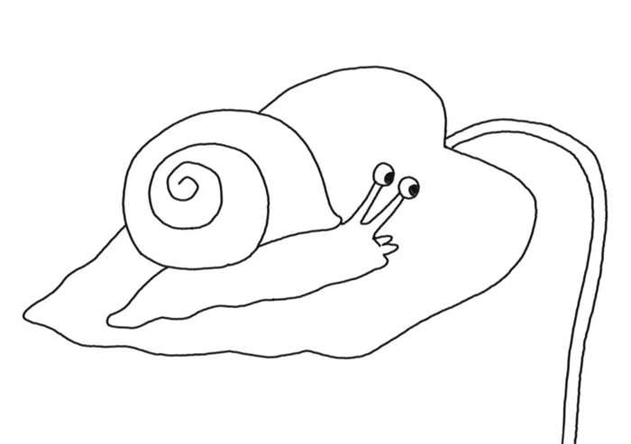 蜗牛简笔画怎么画图片