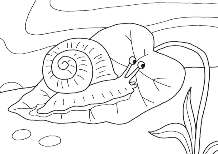 蜗牛简笔画怎么画图片