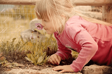 2023女孩吉利的名字大全技巧