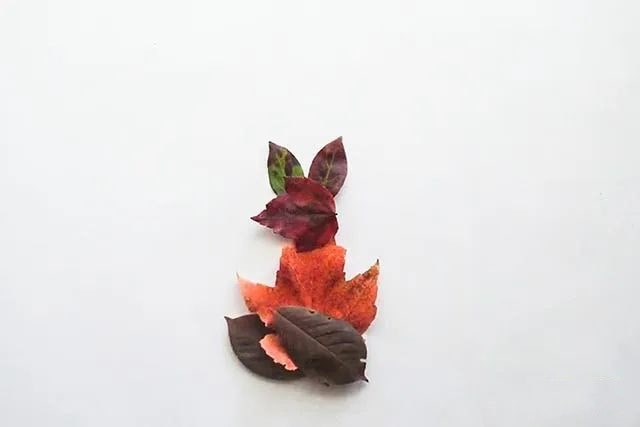 简单树叶手工粘贴画小松鼠教程