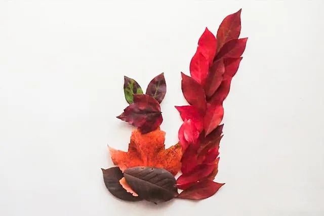 简单树叶手工粘贴画小松鼠教程