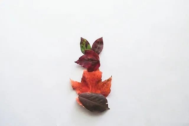 简单树叶手工粘贴画小松鼠教程